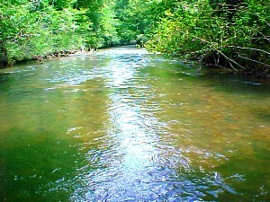 Fightingtown Creek